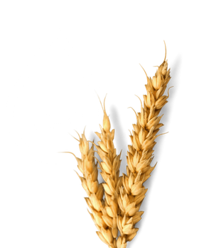Agri-food Sector - Puribec