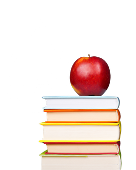 Schools and Daycares Sector - Puribec