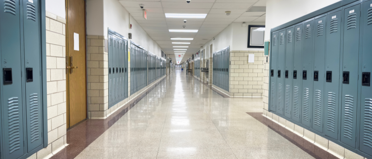 Schools and Daycares Background - Puribec