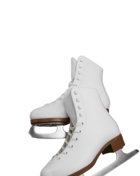 Arenas and Sports Rinks Sector - Puribec